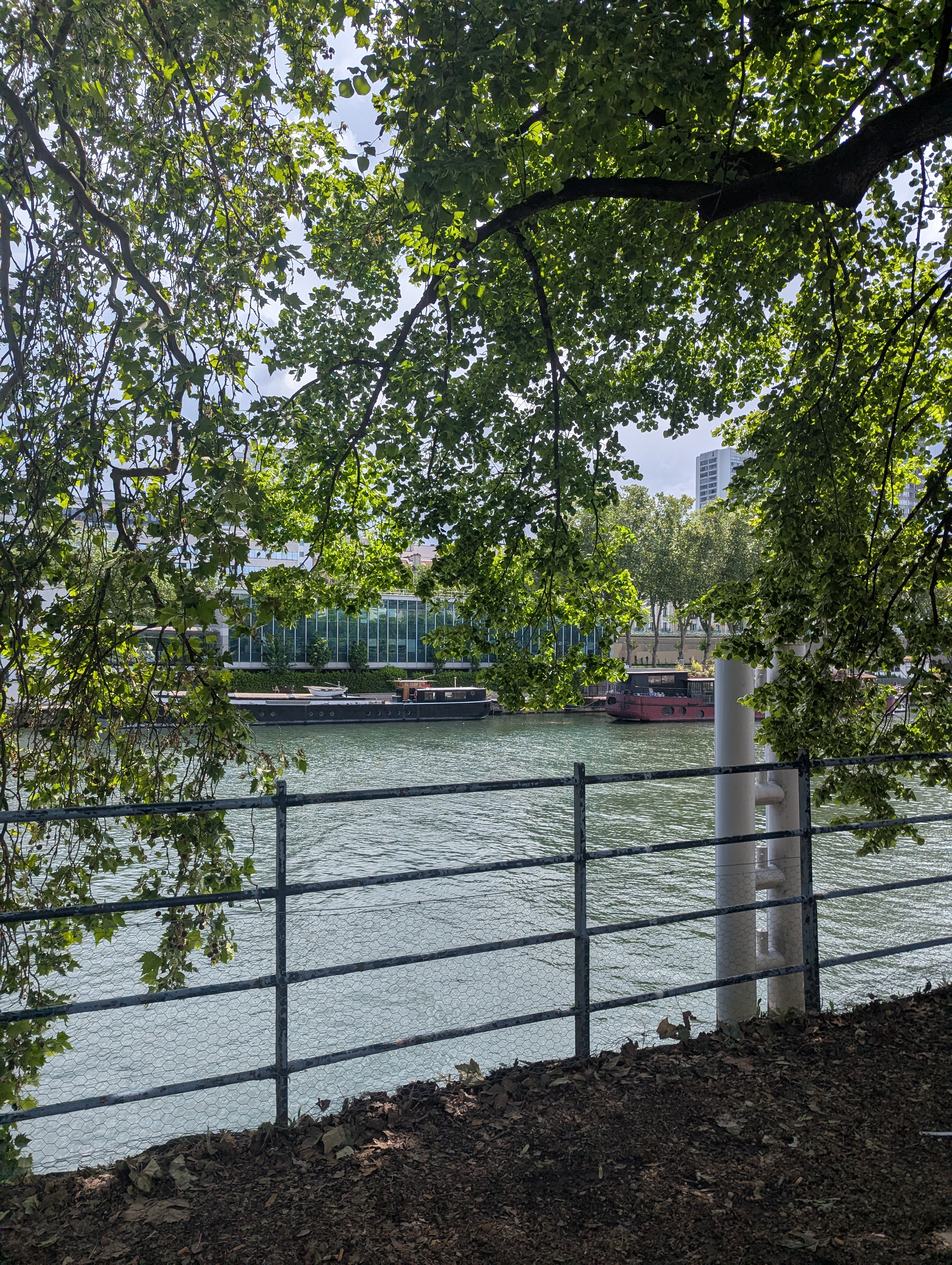 The tree island near your apartment